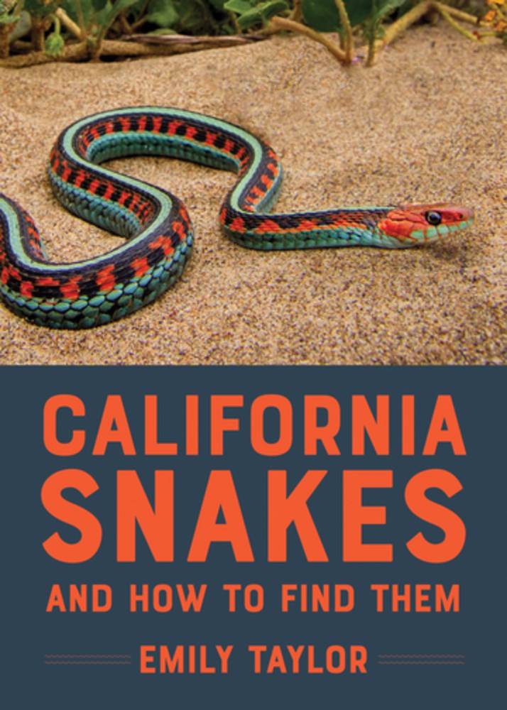 California Snakes And How To Find Them