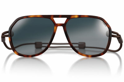 Classics Regular Sunglasses - Tortoise / Polarized Photochromic Grey