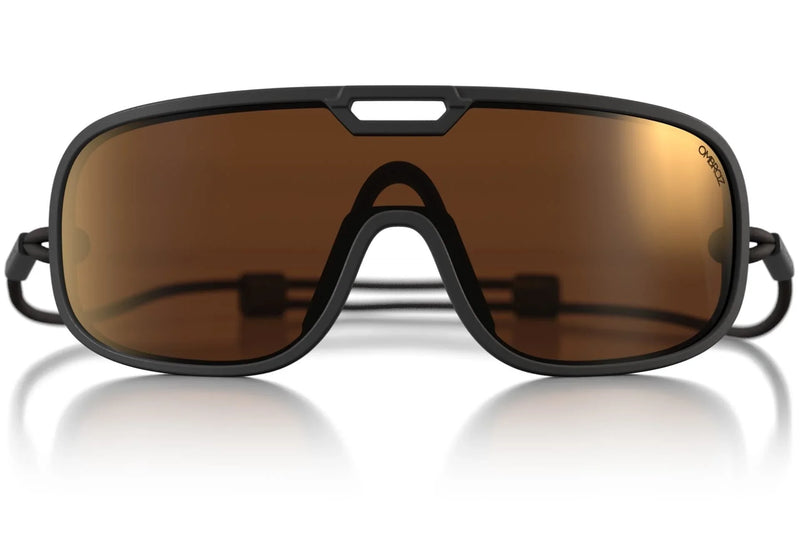 Refugio Regular Sunglasses - Charcoal / Brown / Bronze