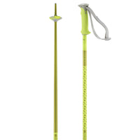 Polar Ski Poles