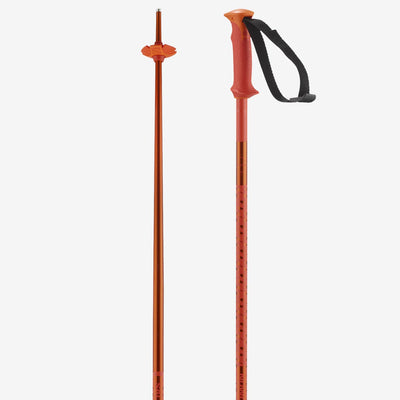 Polar Ski Poles