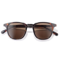 Tango Sunglasses - Tortoise Amber