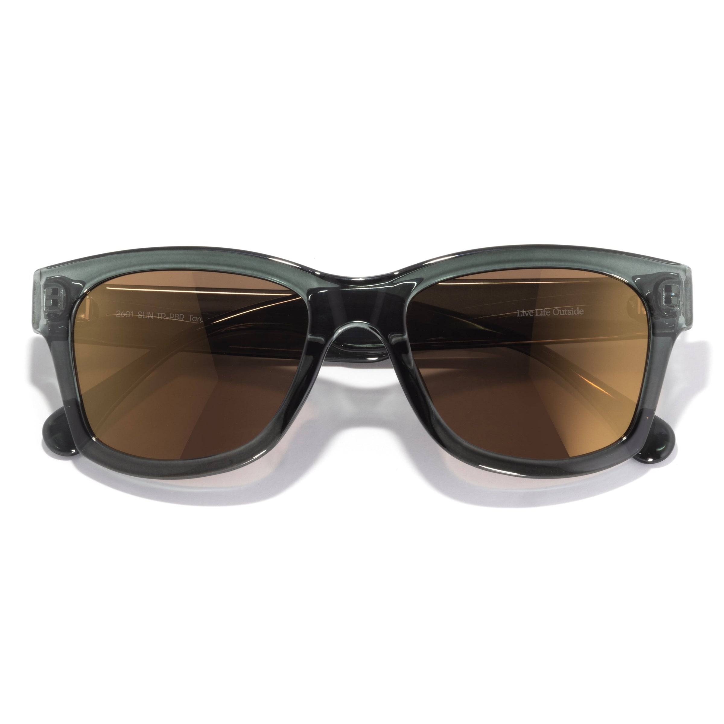 Targa Sunglasses - Pine Brown