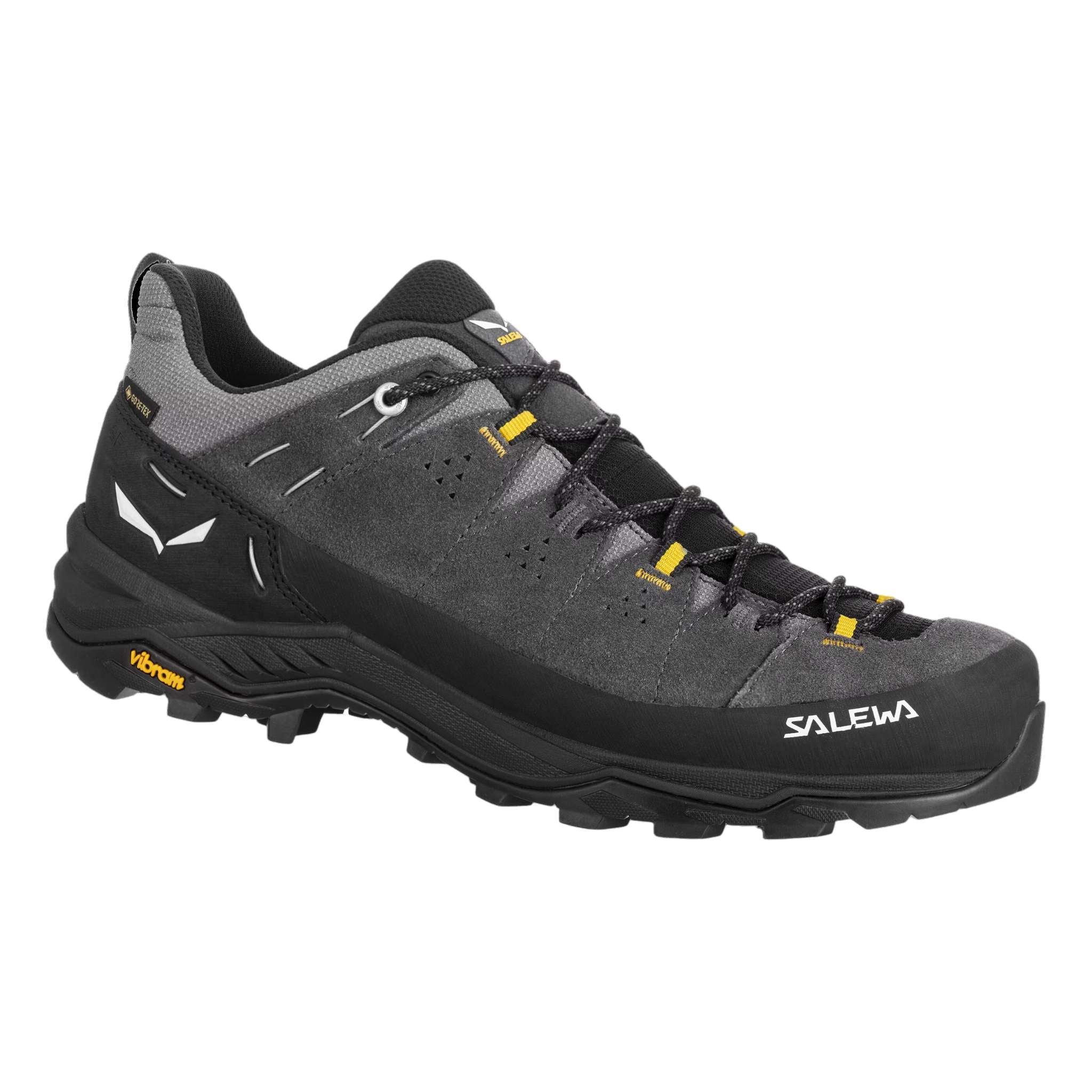 Mens Alp Trainer Gtx - Onyx/Black
