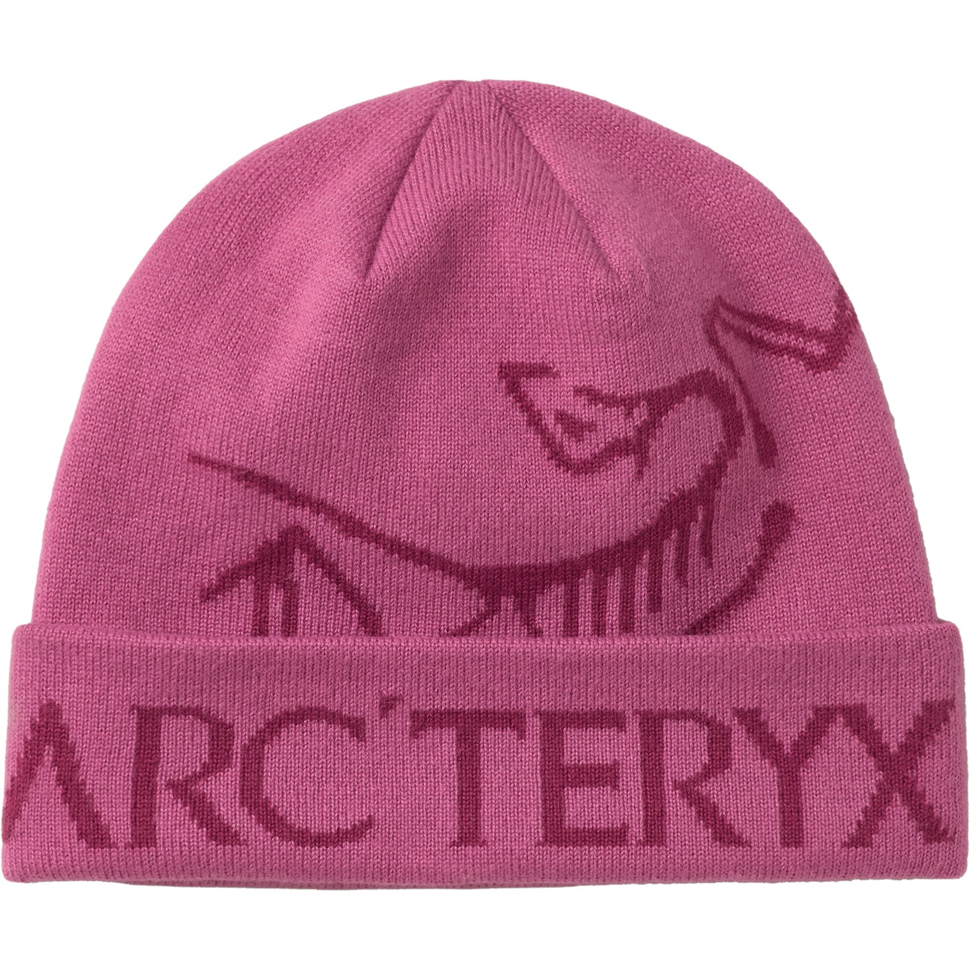Arc'teryx Bird Head Toque | The Mountain Air