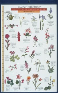 Macs Field Guides Yosemite Trees Wildflowers