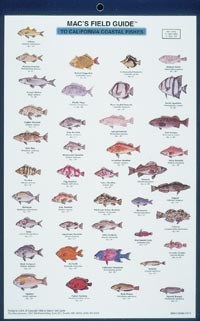 Macs Field Guides California Coastal Fish