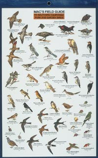Macs Field Guides Southern California Park Garden Birds