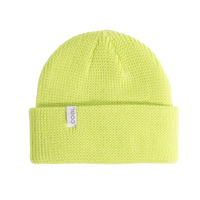 Frena Beanie - Fluoro Lichen