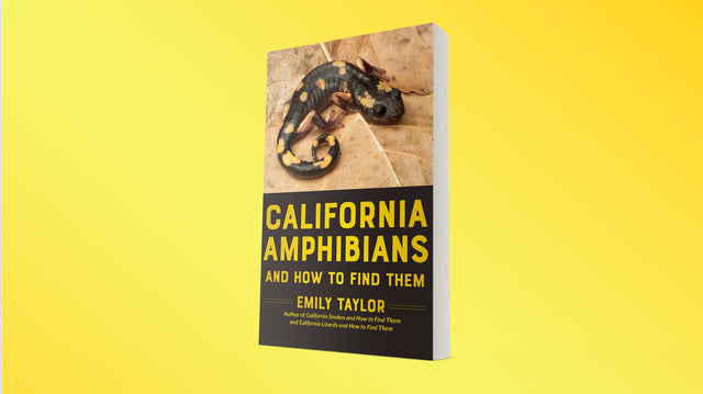 California Amphibians And How To Find Them