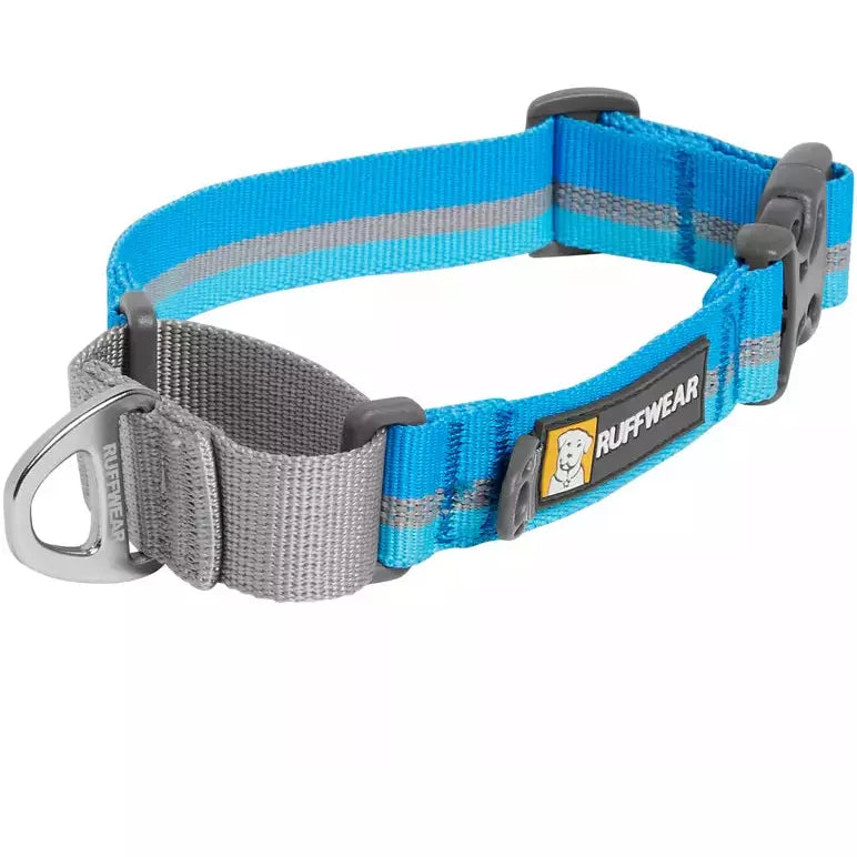 Web Reaction Martingale Dog Collar With Buckle