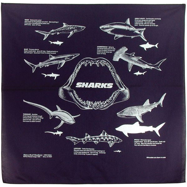 Bandana: Sharks