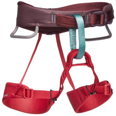 Black Diamond Momentum Climbing Harness - Kids' - Kingfisher
